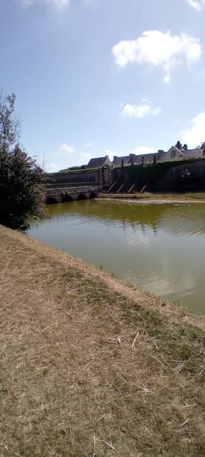 Sentiers Vauban-St Vaast la Hougue - Saint-Vaast-la-Hougue - 10