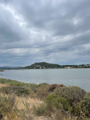 Peyriac-de-Mer et observation des flamants roses - Peyriac-de-Mer - 16