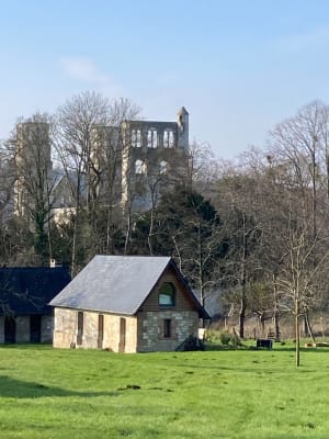 Balade à Jumièges - Jumièges - 15