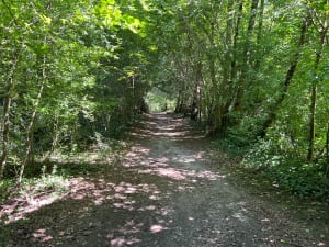 Sentier de la lône d'en l'île - Yenne - 9