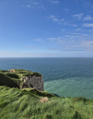 Balade autour du golf et fin sur l'aiguille, porte d'Aval - Étretat - 21