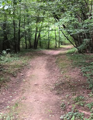 Riville et randonnée "animale" dans une nature complice - Riville - 11