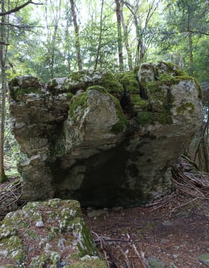 Découverte de la Tourbière de Peuil et sa magie perpétuelle - Claix - 25