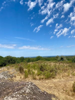 Jusqu'aux confins du Val sans Retour (Brocéliande) - Tréhorenteuc - 19