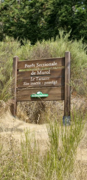 Tour du volcan de Tartaret - Saint-Victor-la-Rivière - 5