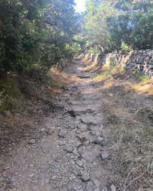 Puntiglione Loop - Cargèse - 23