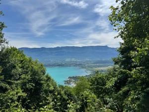 Sentier botanique de Filéas - Le Bourget-du-Lac - 10