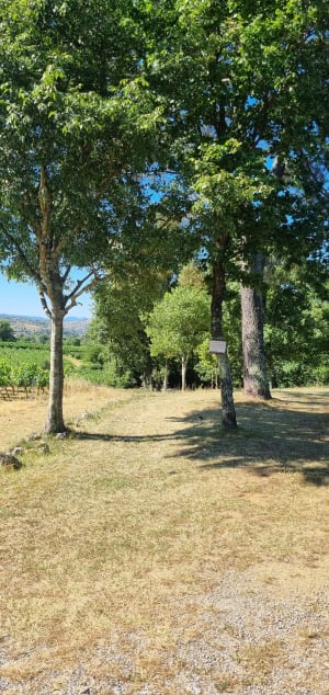 Tour du chapeau de gendarme - Laurac-en-Vivarais - 12