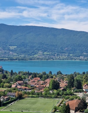 Kasteellus van Menthon en de kleuren van het meer van Annecy - Menthon-Saint-Bernard - 13