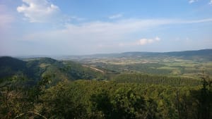 Belvédère du Poulet - Genod - 3