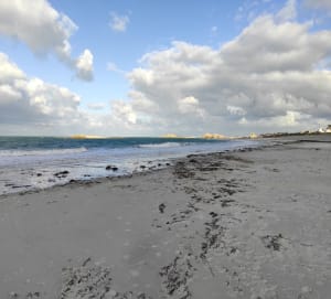 En longeant la côte de Port l'épine à Port blanc - Trélévern - 14