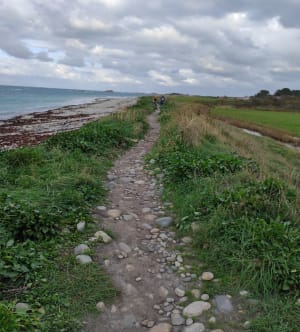 En longeant la côte de Port l'épine à Port blanc - Trélévern - 16