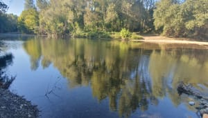 Balade entre sous-bois, champs de lavandes et vignes à Potelières - Potelières - 18