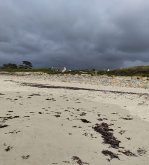 En longeant la côte de Port l'épine à Port blanc - Trélévern - 19