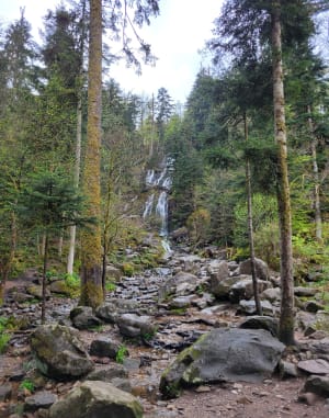 Le tour des cascades de Tendon - Le Tholy - 31