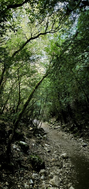 De lagere Gorges du Verdon en een verfrissend bad - Quinson - 21