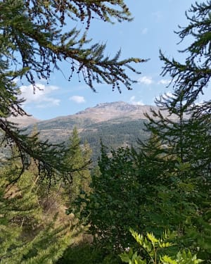 S'évader à Serre-Chevalier et profiter à fond du paysage - Serre-Chevalier - Le Bez - 7
