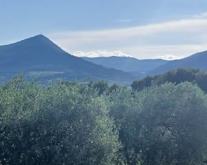 Balade autour de Mirabel Aux Baronnies - Mirabel-aux-Baronnies - 9