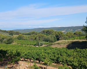Balade autour de Mirabel Aux Baronnies - Mirabel-aux-Baronnies - 10
