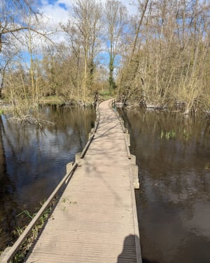 Gîte- en Deûleparken - Houplin-Ancoisne - 17
