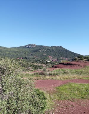 Devil's Canyon en de schoonheid van de rode aarde van Hérault - Saint-Saturnin-de-Lucian - 45