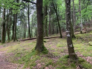 Huelgoat en de Argent-rivier, ontdekkingstocht - Huelgoat - 56