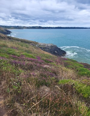 Escapade côtière à la Pointe de Tréfeuntec - Plonévez-Porzay - 9