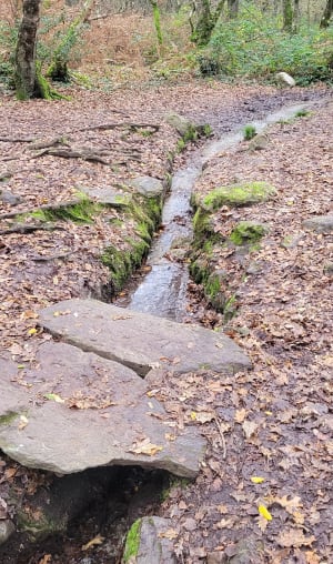 La fontaine de Barenton - Paimpont - 12