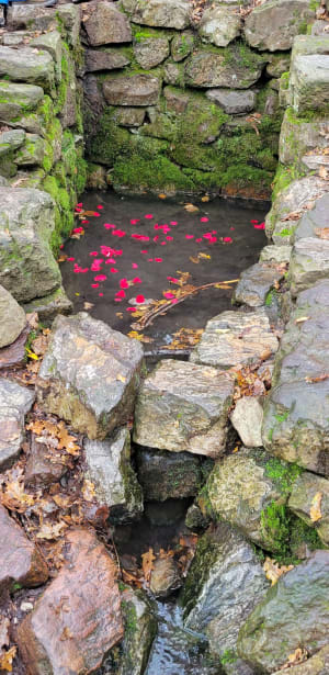 La fontaine de Barenton - Paimpont - 14
