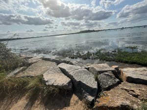 Baie de Sallenelles - Ouistreham - 59
