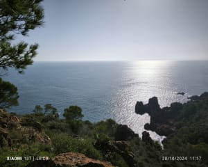 Cap Dramont en speel als Kuifje in De Zwarte Rotsen - Saint-Raphaël (Le Dramont) - 50