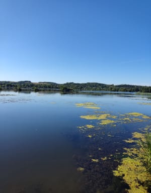 Autour des étangs et La Somme Canalisée à Long - Long - 4