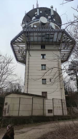 Balade au Mont Saint-Quentin - Plappeville - 6