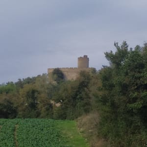 Fallavier, le lac et son château. - Vilefontaine - 19