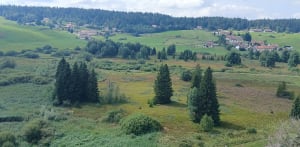 Tourbières de Prénovel et 2 Belvédères - Nanchez - 4