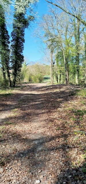 Saint-Pierre-Aigle et sortie cool à l'orée de la forêt de Retz - Saint-Pierre-Aigle - 3