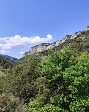 De boogbeek Vallon-Pont-d'Arc en de waterval van Pissevieille - Vallon-Pont-d'Arc - 92