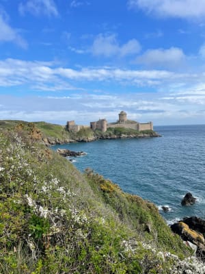 Randonnée autour du Cap Fréhel par le GR® 34 - Plévenon - 6