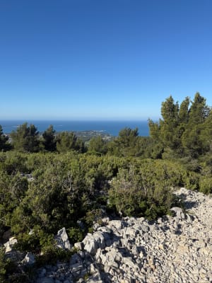 Sanary-sur-Mer et la balade au Gros Cerveau - Sanary-sur-Mer - 2