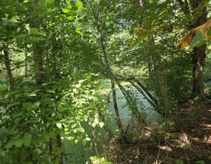 Réserve écologique des Barails et son sublime parc paysager - CHRISTINE - 3