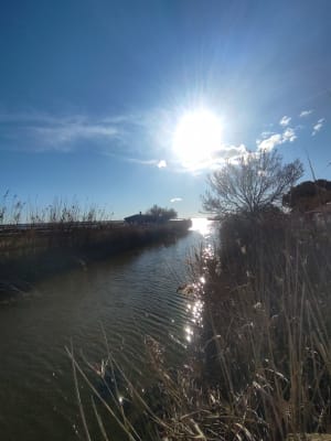 Mauguio: droomexcursie rond de moerassen van Plagnol - Mauguio - 32