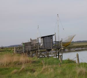 Balade le long de la Seudre de Saujon à l'Eguille - Saujon - 5