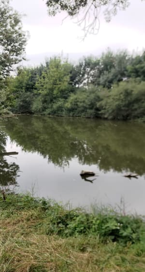 Randonnée sur les rives du Thouet - Saumur - 4