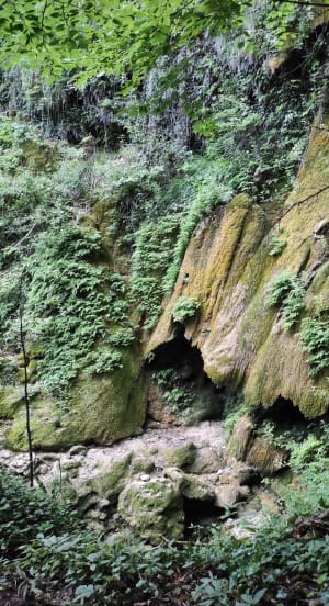 Boucle enchantée à la Cascade de la Turasse de Roquefort-les-Cascades - Roquefort-les-Cascades - 2