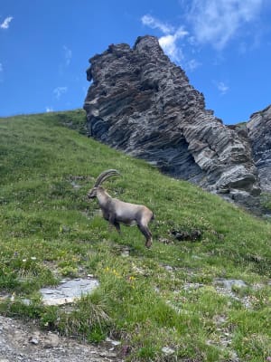 Tour des Fiz, lac de Pormenaz et évasion au pied des falaises - Passy - 11