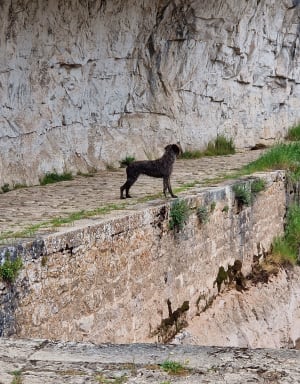 De Saint-Cirq-Lapopie à Bouzies par le chemin de hallage - Saint-Cirq-Lapopie - 24