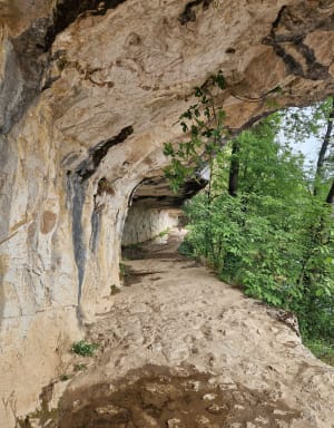 De Saint-Cirq-Lapopie à Bouzies par le chemin de hallage - Saint-Cirq-Lapopie - 25