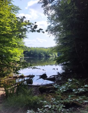 Tour du lac de Pierre Percée - Pierre-Percée - 18