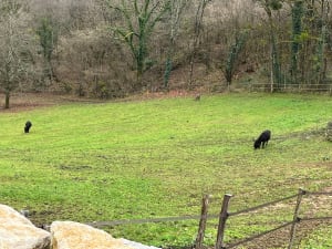 Le fort de Chaudanne, sa vue et ses coteaux - Besançon - 8