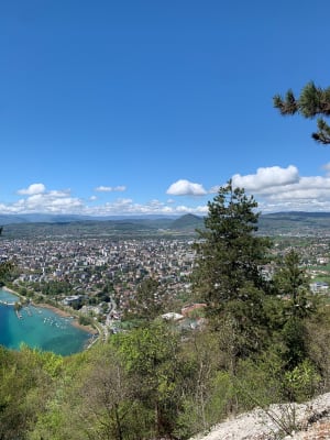 Balade en forêt et vue sur le lac d'Annecy - Annecy - 17